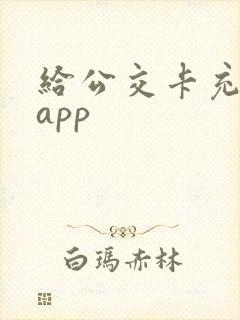 给公交卡充钱的app