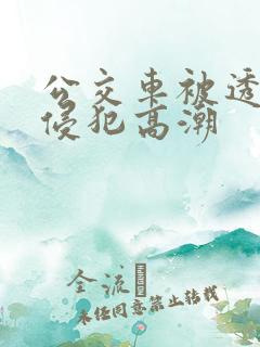 公交车被透明人侵犯高潮