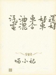 汽油车好还是油电混合车好
