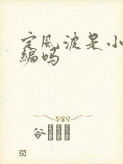 定风波是小说改编吗