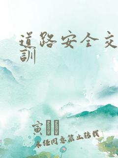 道路安全交通培训