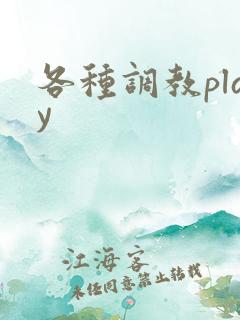 各种调教play