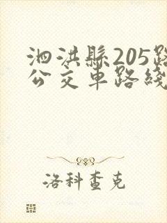 泗洪县205路公交车路线图