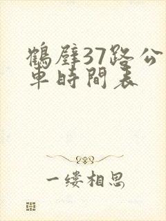 鹤壁37路公交车时间表
