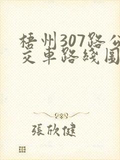 梧州307路公交车路线图 梧州307路公交车路线图