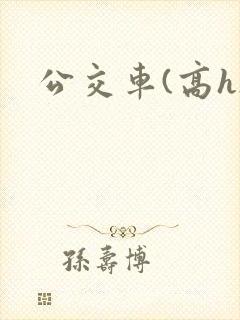 公交车(高h) 公交车(高h)