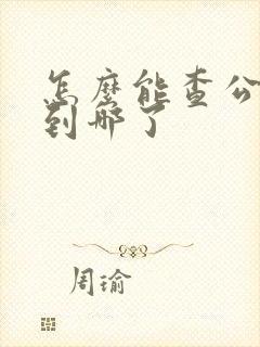 怎么能查公交车到哪了