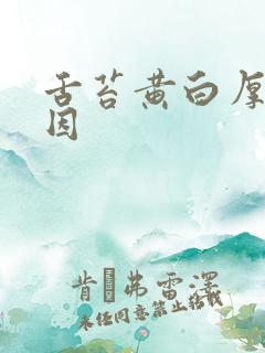 舌苔黄白厚腻原因