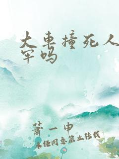 大车撞死人要坐牢吗