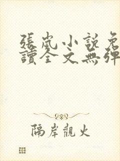 张岚小说免费阅读全文无弹窗