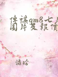 传祺gm8七座图片及报价