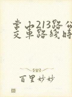 常山213路公交车路线时间表