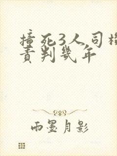 撞死3人司机全责判几年