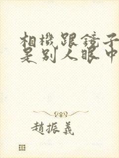 相机跟镜子哪个是别人眼中的自己