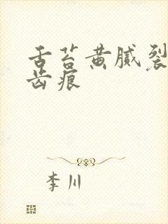 舌苔黄腻裂纹有齿痕