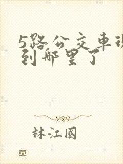 5路公交车现在到哪里了