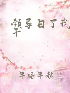 领导日了我一下午