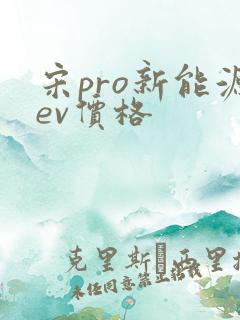 宋pro新能源ev价格
