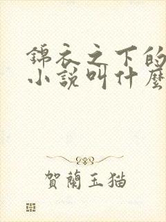 锦衣之下的原著小说叫什么 锦衣之下的原著小说叫什么