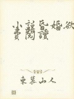 小说昏婚欲睡免费阅读