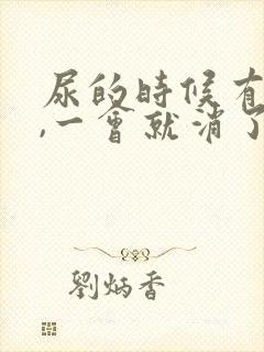 尿的时候有泡沫,一会就消了