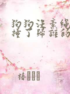 狗狗没牵绳被车撞了归谁的责任?