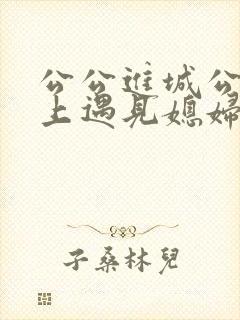 公公进城公交车上遇见媳妇