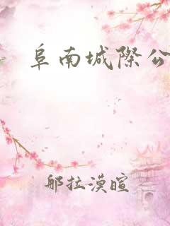 阜南城际公交