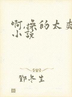 啊,操的太爽了小说