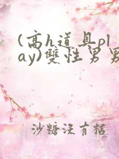 (高h道具play)双性男男文小说