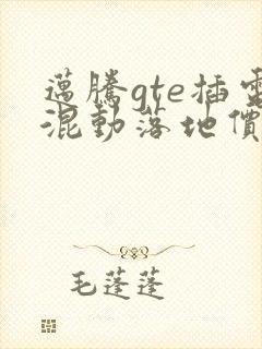 迈腾gte插电混动落地价多少钱