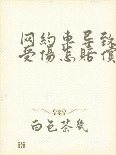 网约车导致乘客受伤怎赔偿