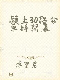 颍上30路公交车时间表