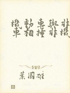 机动车与非机动车相撞非机动车全责