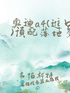 奥迪a4(进口)顶配落地多少钱