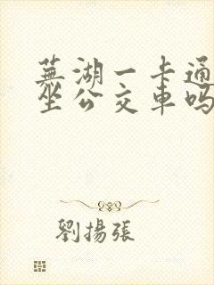 芜湖一卡通可以坐公交车吗