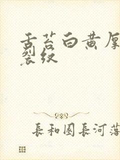 舌苔白黄厚腻有裂纹