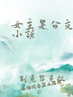 女主是公交车的小说