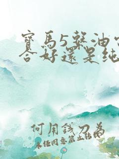 宝马5系油电混合好还是纯油好