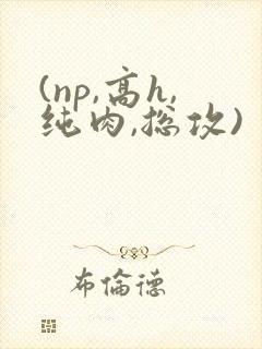 (np,高h,纯肉,总攻)