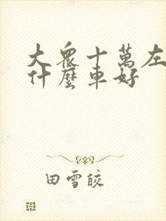 大众十万左右买什么车好