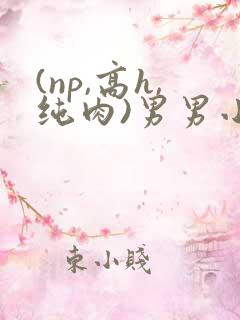 (np,高h,纯肉)男男小说