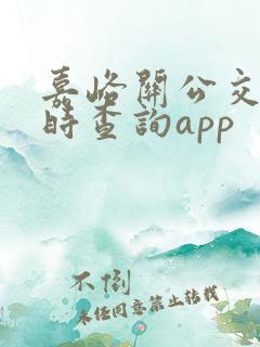 嘉峪关公交车实时查询app 嘉峪关公交车实时查询app