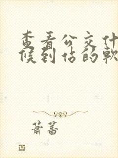 查看公交什么时候到站的软件