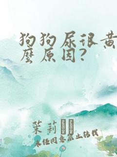 狗狗尿很黄是什么原因?