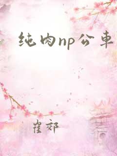纯肉np公车文