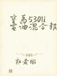 宝马530li电油混合报价 宝马530li电油混合报价