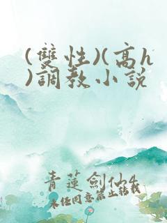 (双性)(高h)调教小说
