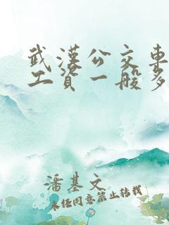 武汉公交车司机工资一般多少 武汉公交车司机工资一般多少