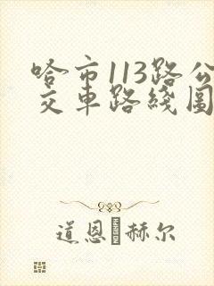 哈市113路公交车路线图